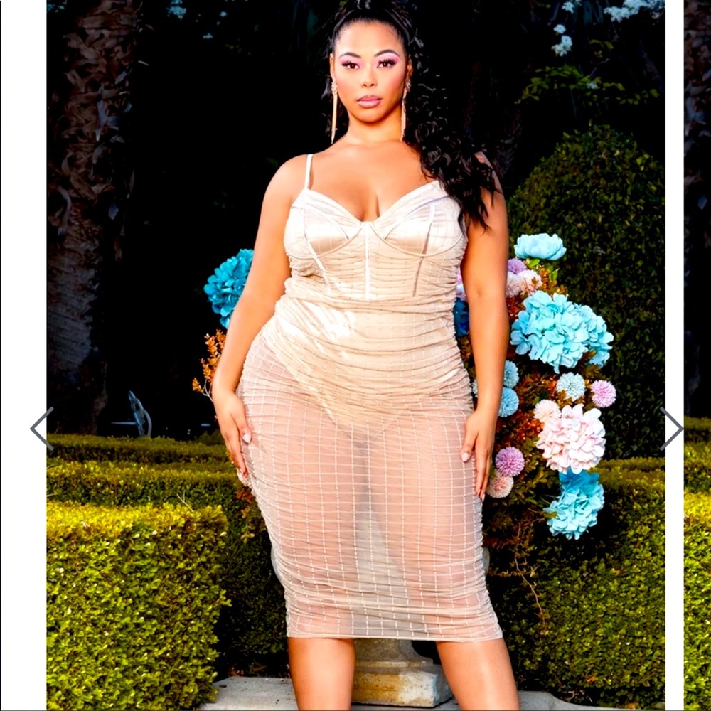 Plus size dress-NWOT